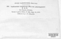 Image Associated With the Occurence